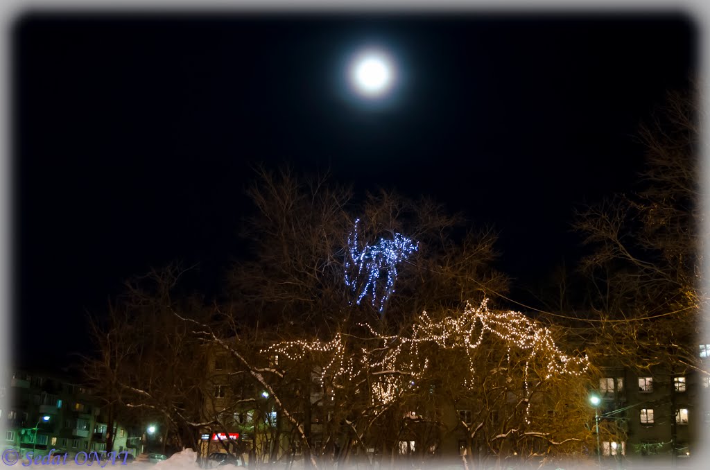 2012-01-07 - 004  (D5100) (Berezniki) (TsumOnu)