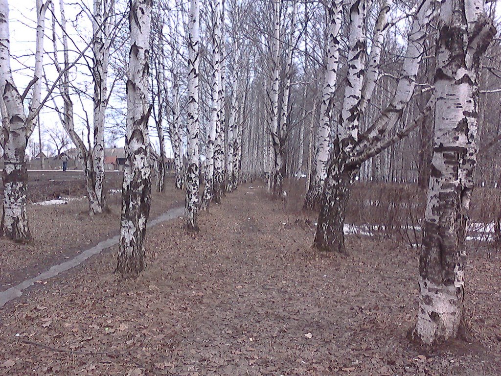 Городской парк у бывшей деревни Капидоны -Апрель 2008г..