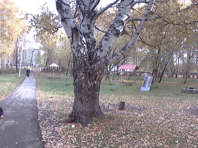 Городской парк -у бывшей деревни Капидоны -Осень 2008г..