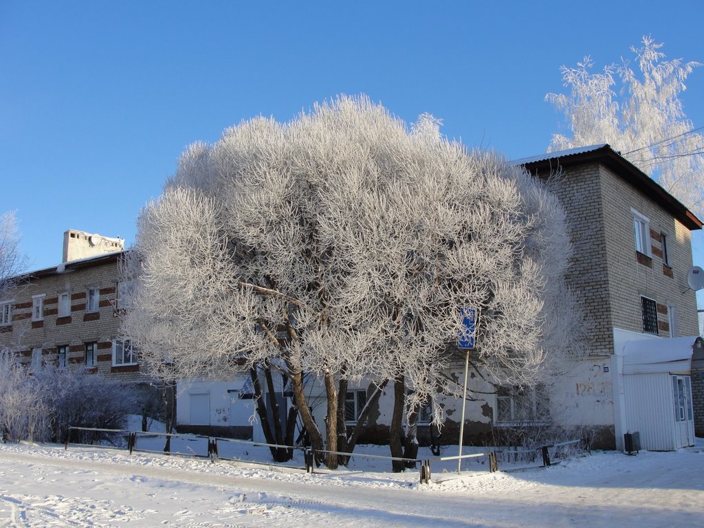 Морозный день