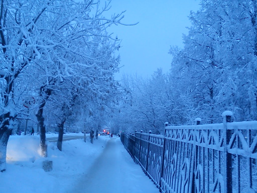 зимние прогулки