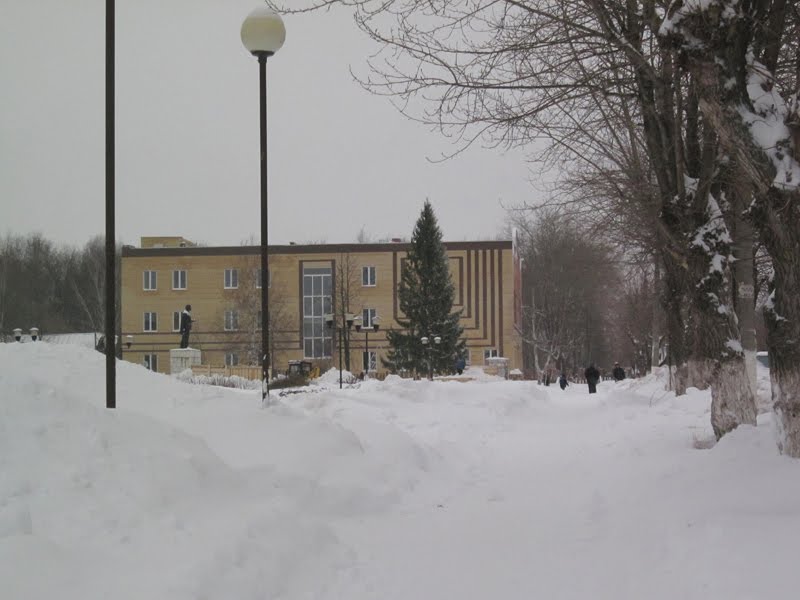 Новогодняя ёлка на центральной площади города