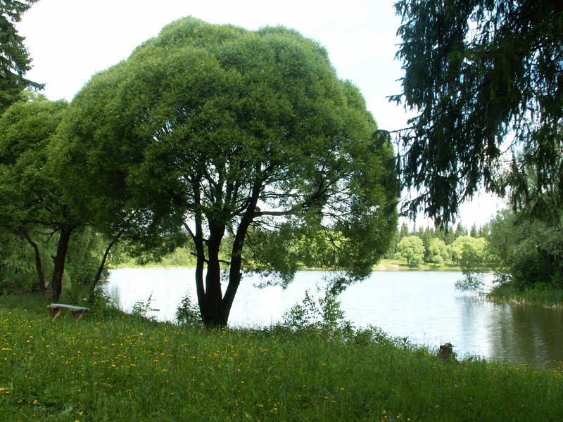 В Железнодорожном парке - берег "Водокачки"