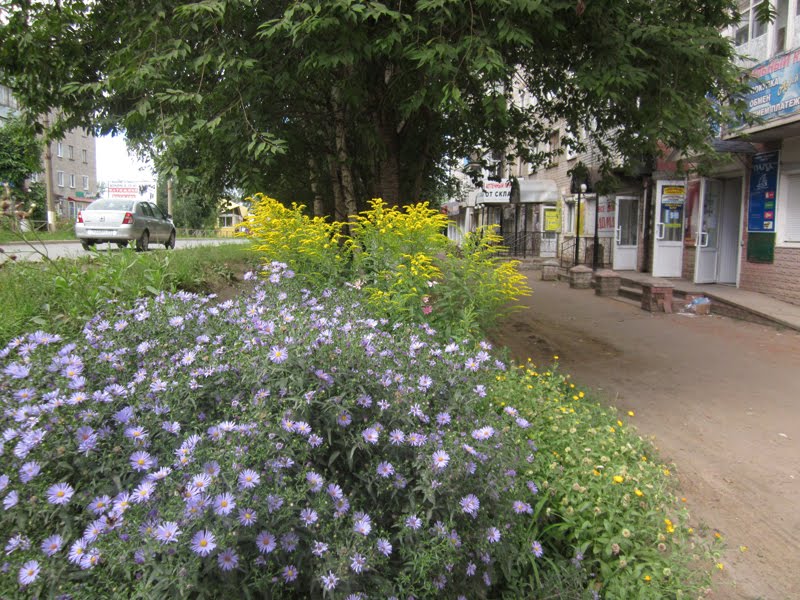 улица Ленина