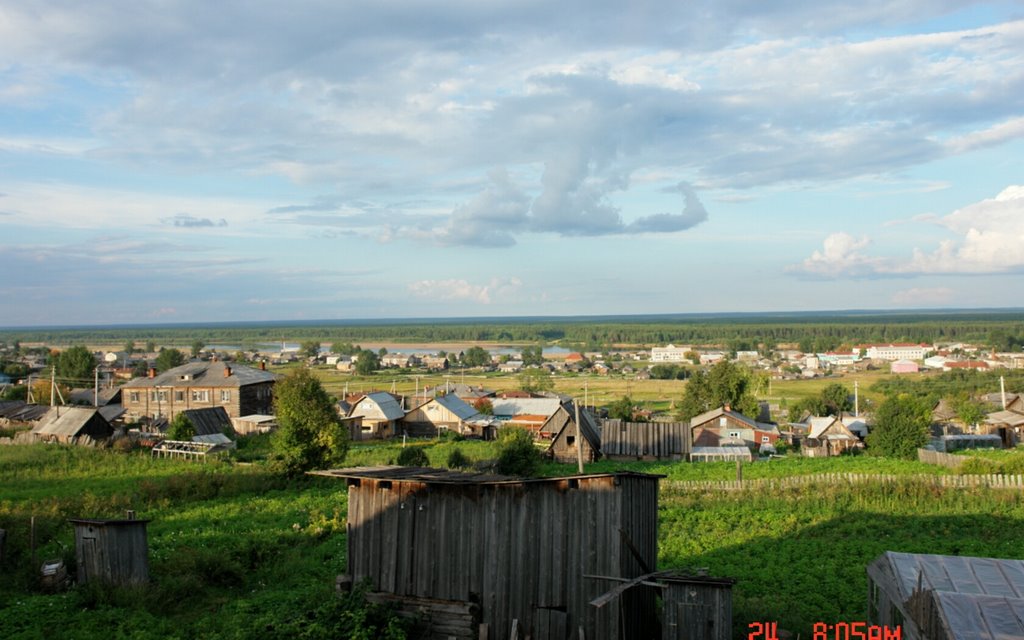 ГАЙНЫ
