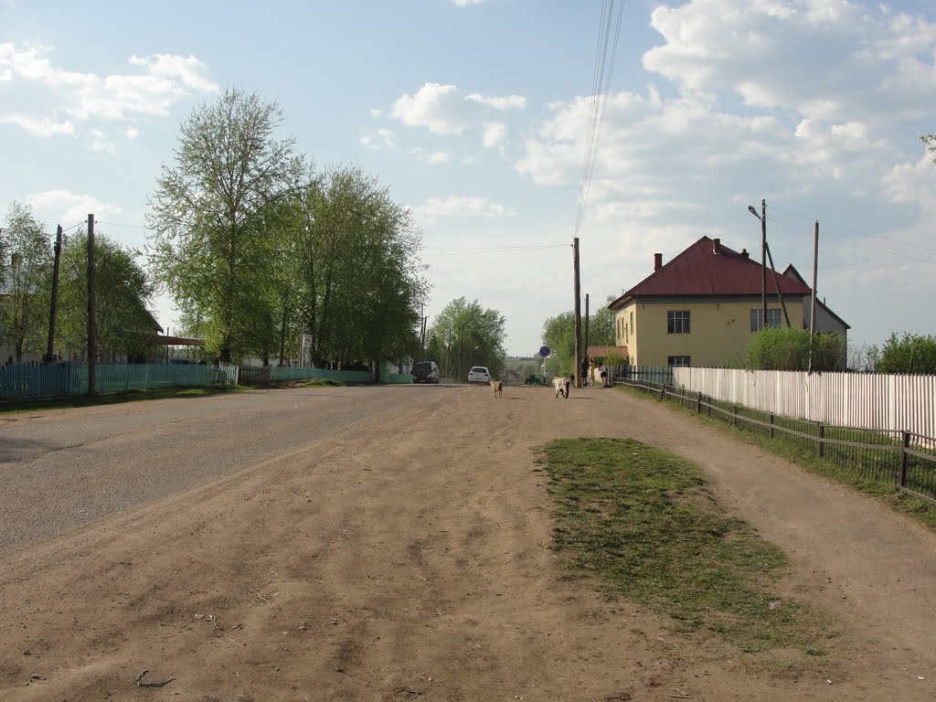 Гайны