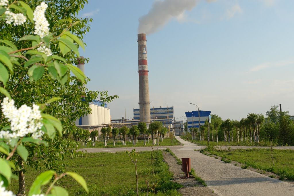 ОАО Горнозаводскцемент