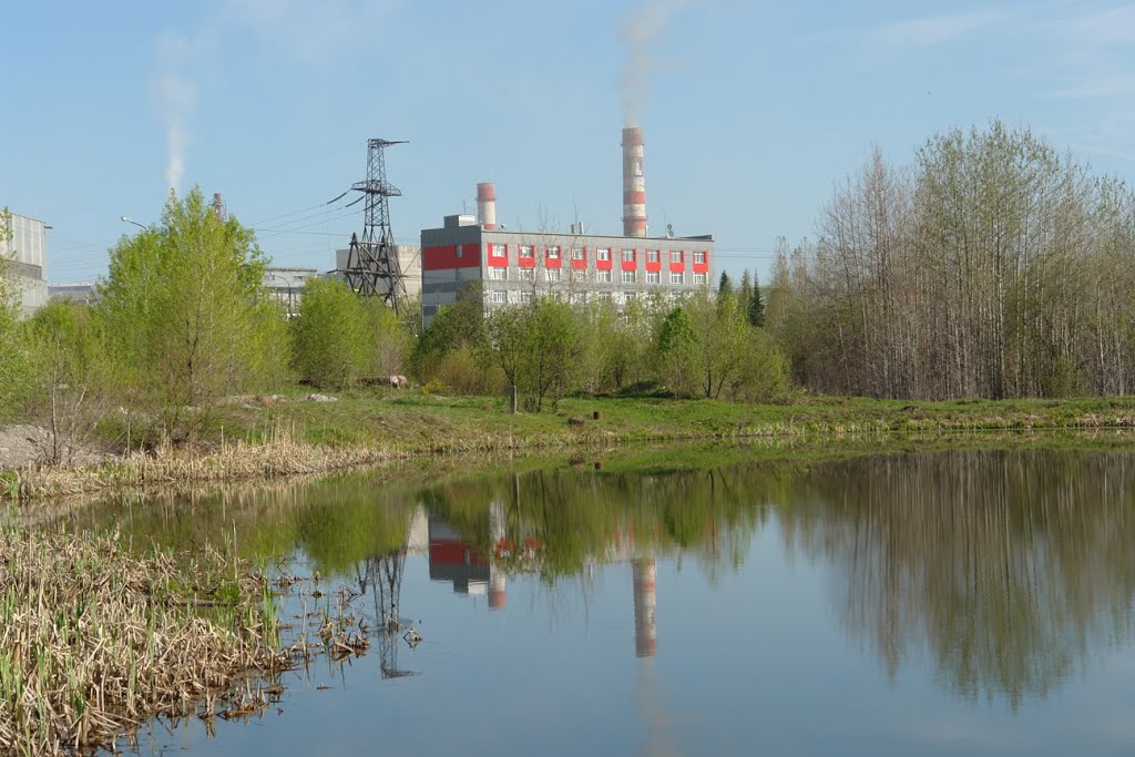 ОАО Горнозаводскцемент