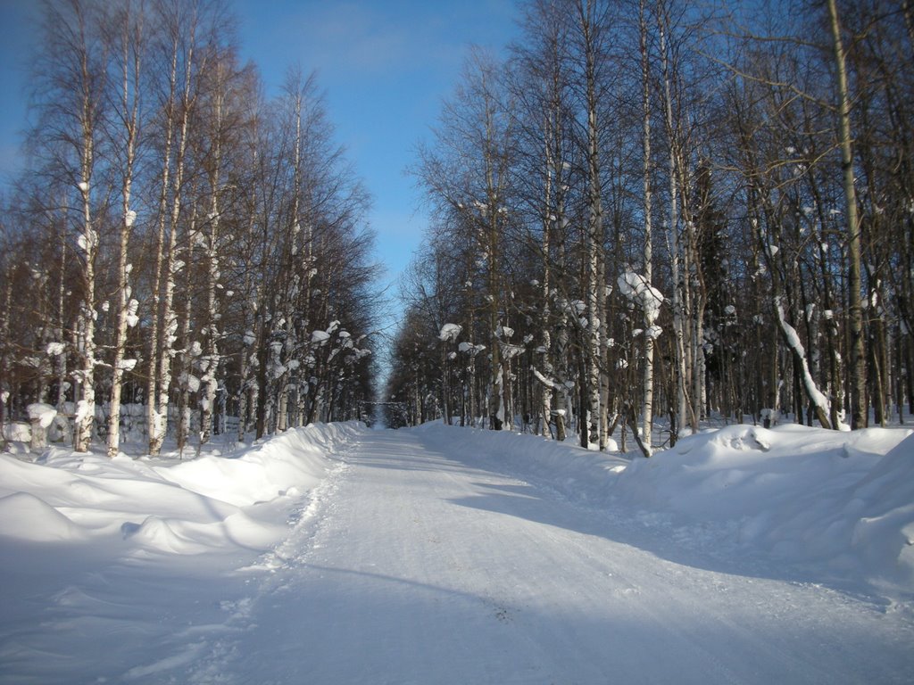 Гремячинск, городской парк зимой