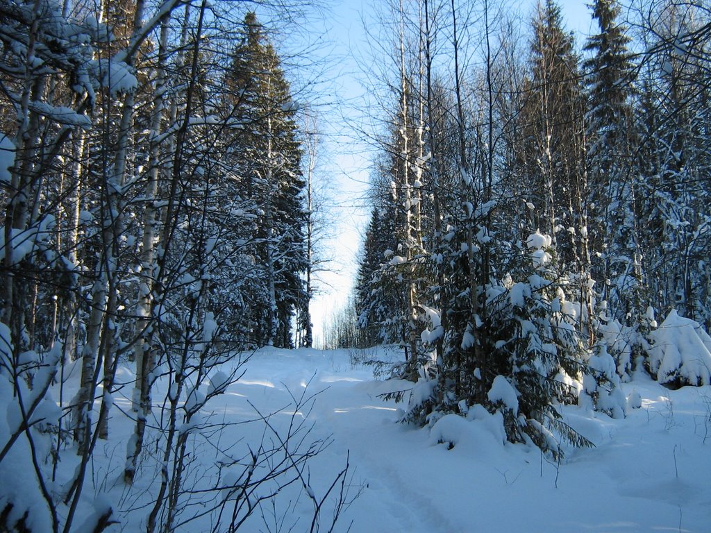 Гремячинск, за городским парком