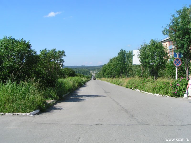 Губаха