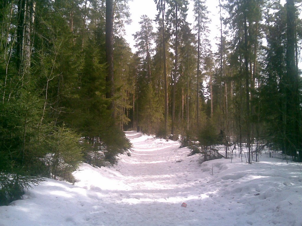 Парк зимой