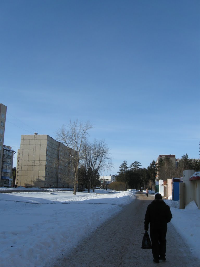 Герцена