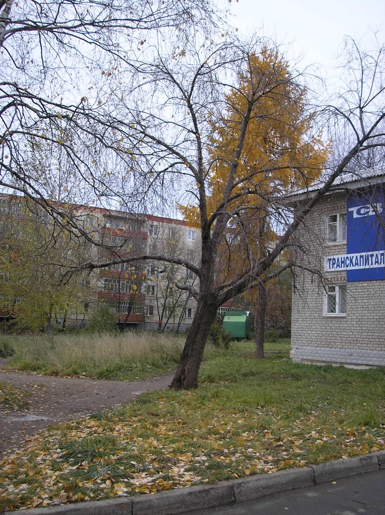 Zhukovskogo St.