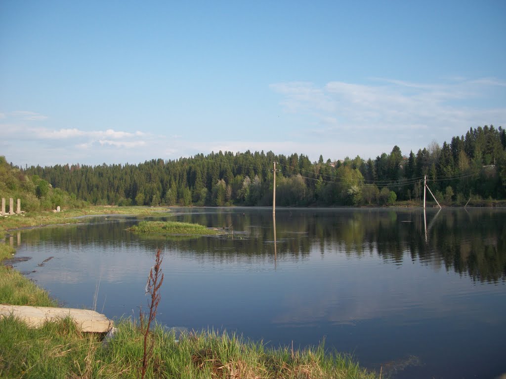 Река Вож. Лето