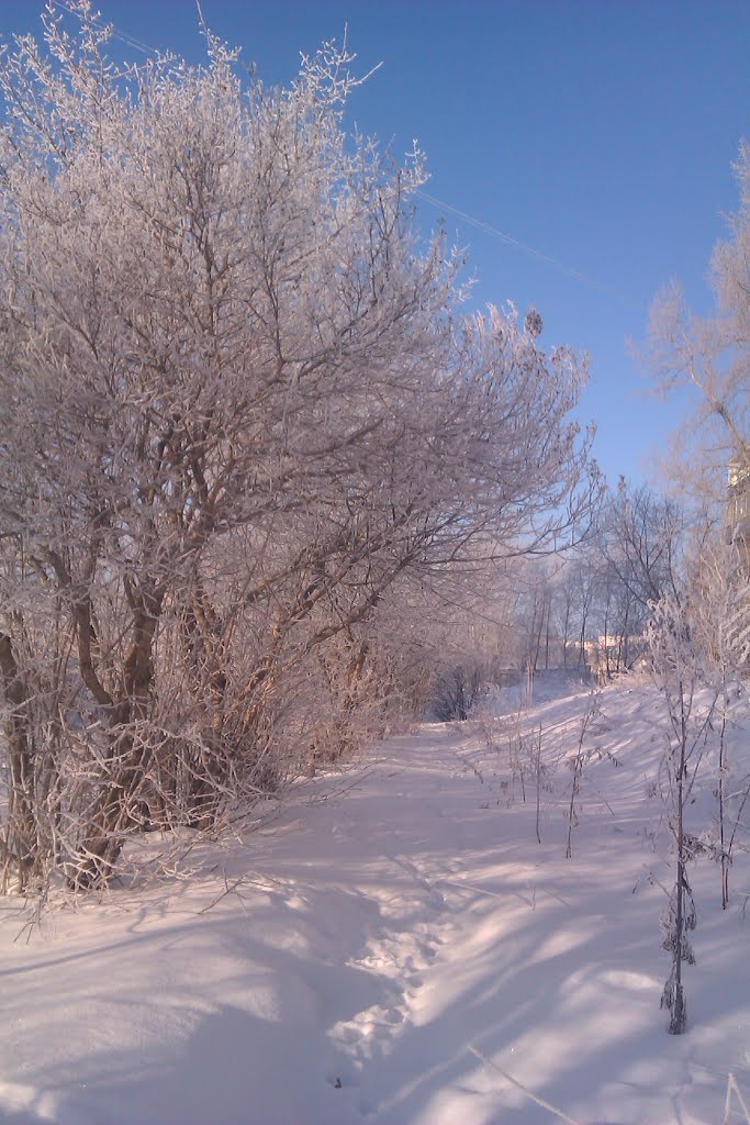 Мороз и солнце