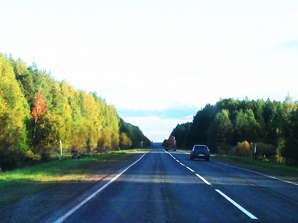 Трасса Р344.