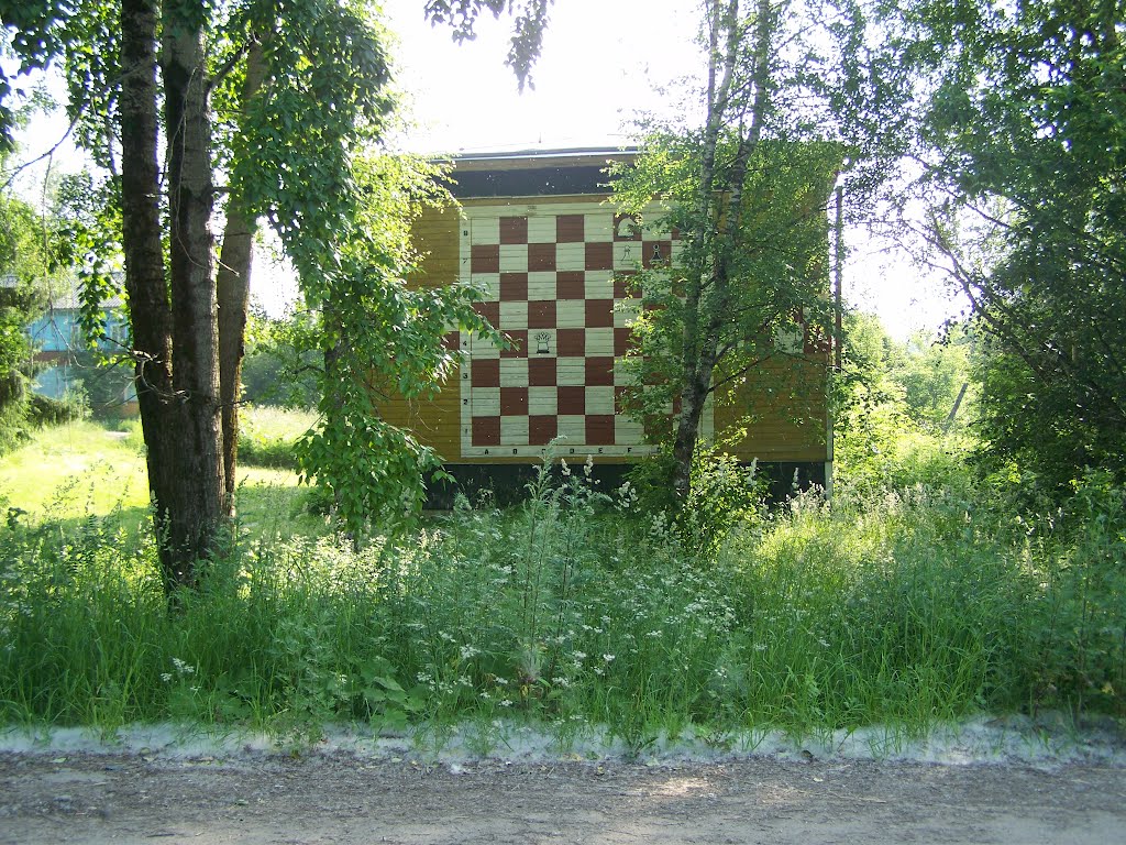 Шахматная доска на канторе