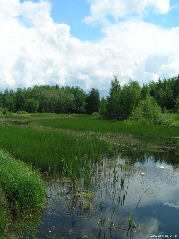 Городской пруд