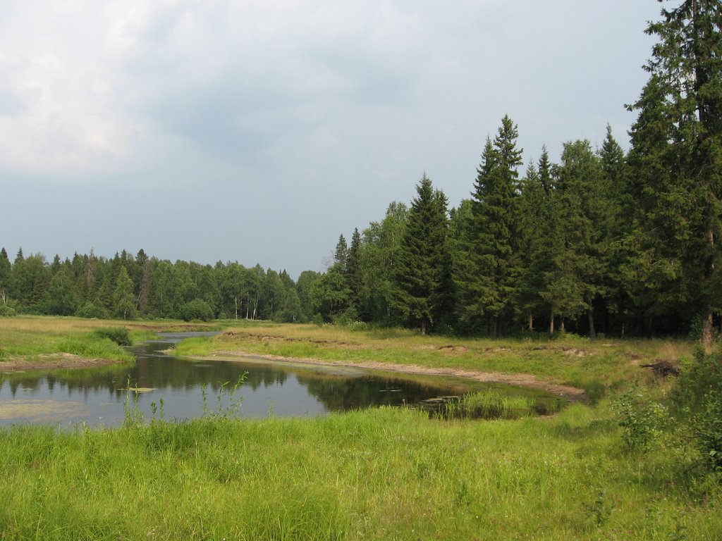 Речка Сеполь под Кочево