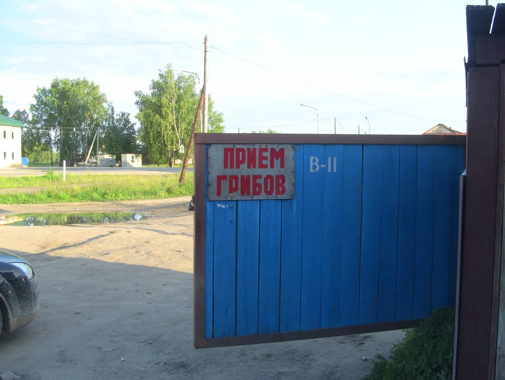 На шиномонтажке ещё и грибами балуются