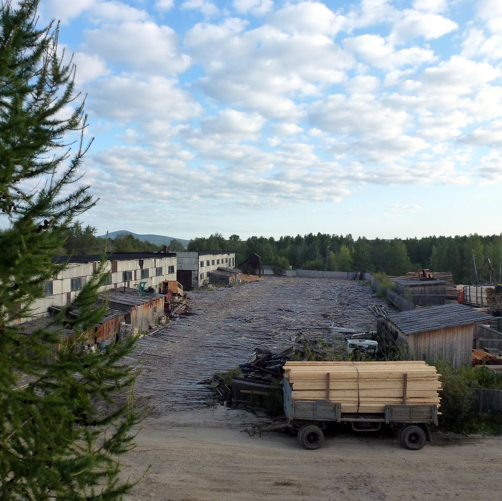 Красновишерск. Лесопилка.