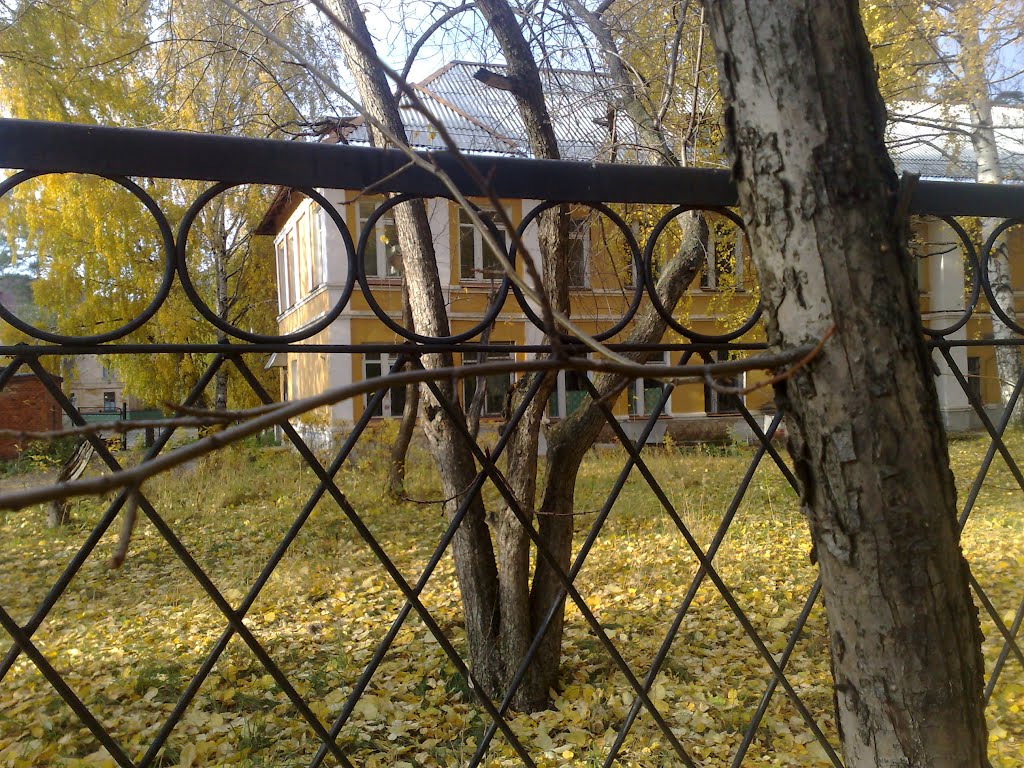 Тут просвечивают ваши лёгкие