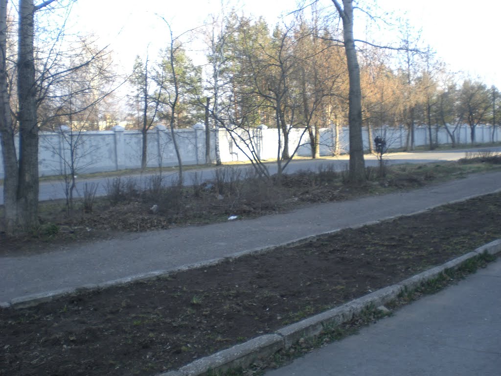 Скоро тут будет много зелени