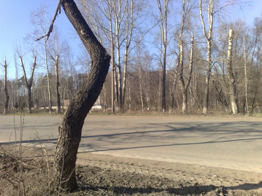 Дорога