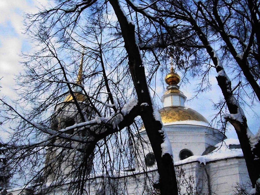 Купола Никольской церкови в Кудымкаре.