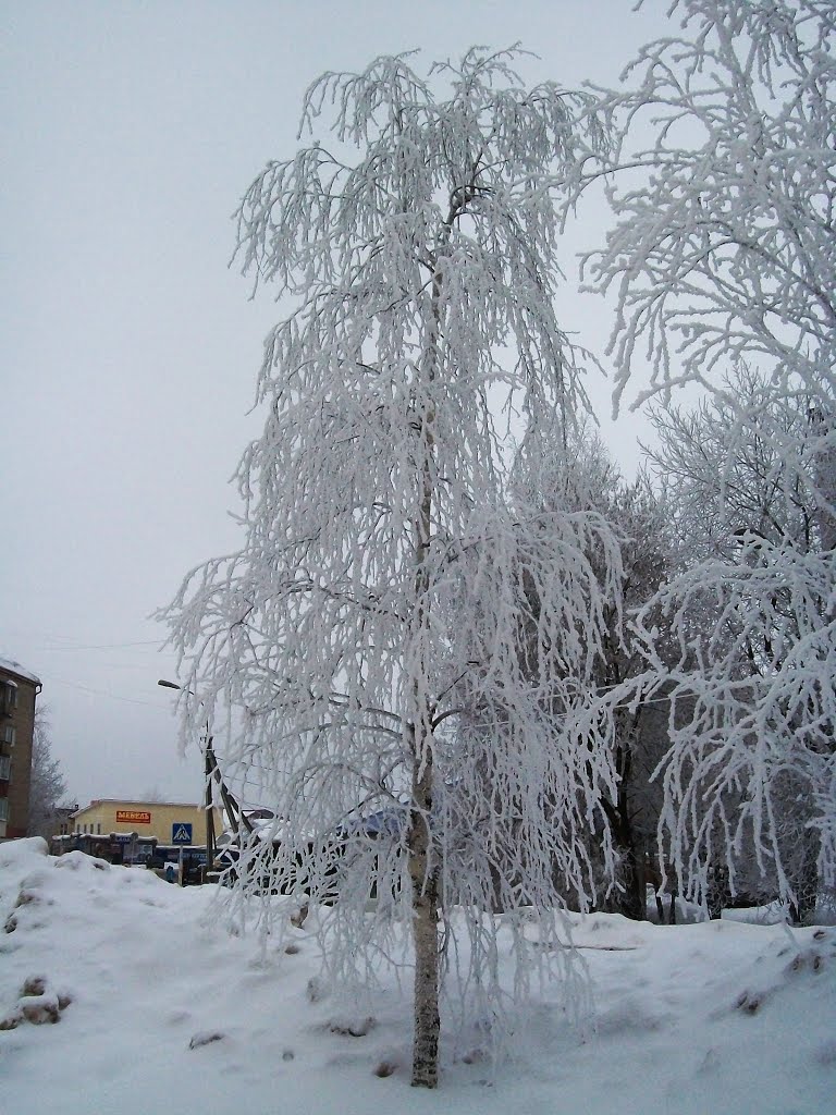Мартовский иней.