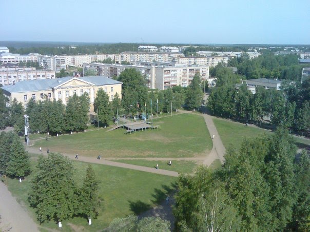С высоты птичьего полета