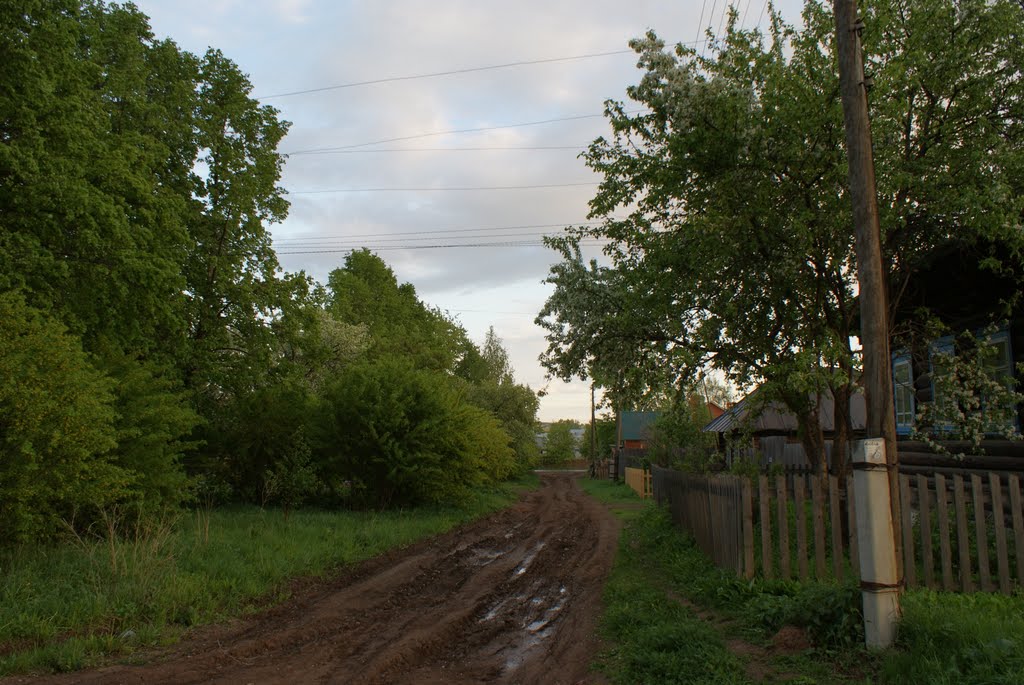 ул. Пермяцкая