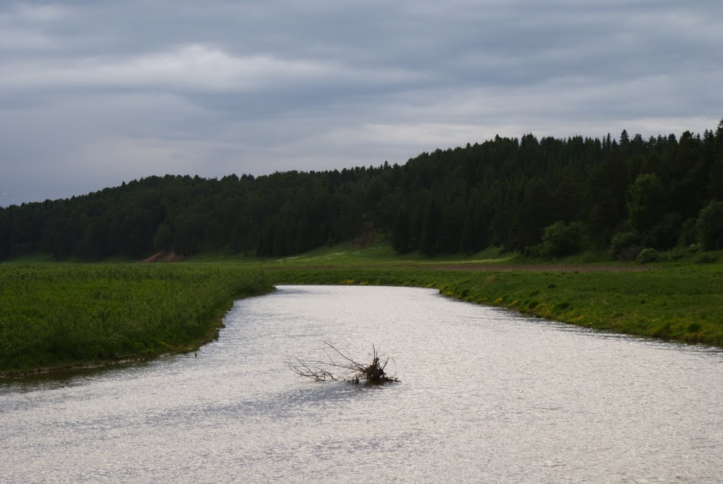 Пока река