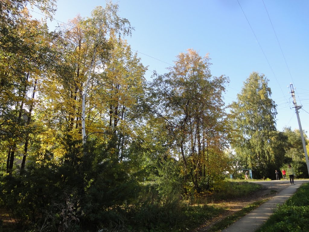 ул. Пермяцкая