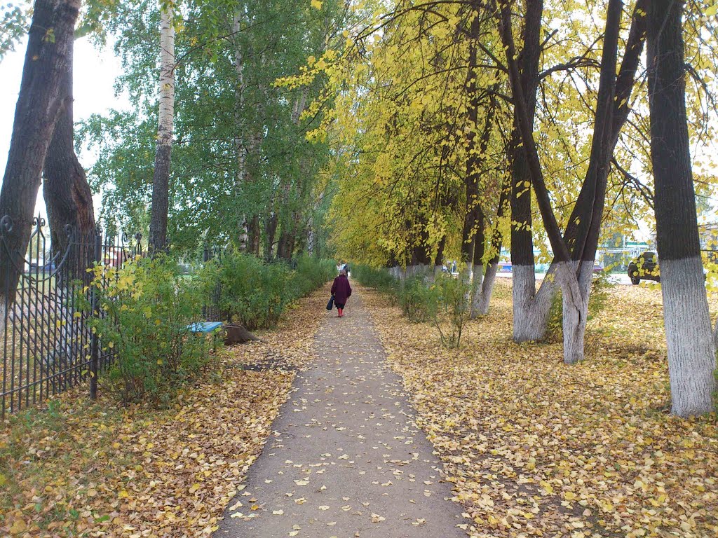 Куеда, осенняя аллея