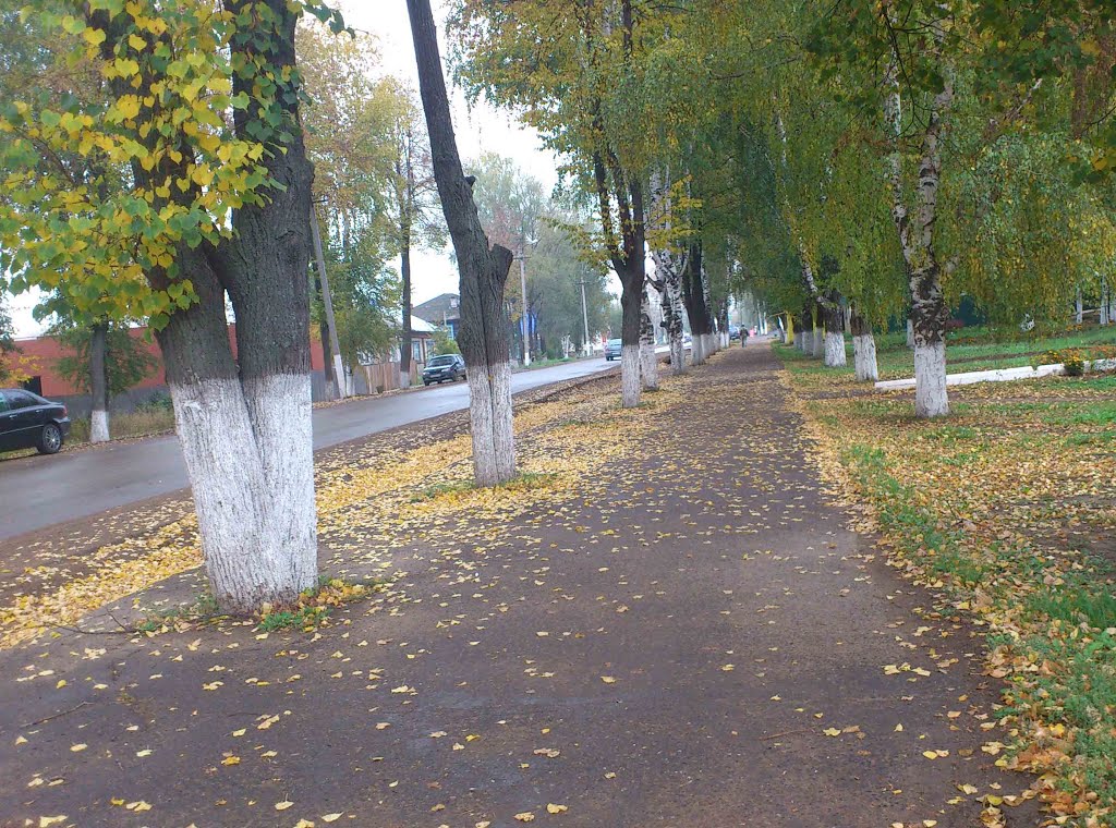 Куеда, ул. Гагарина