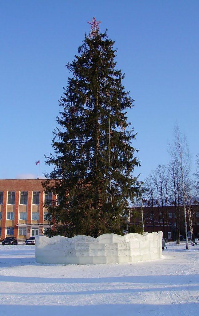 Ель