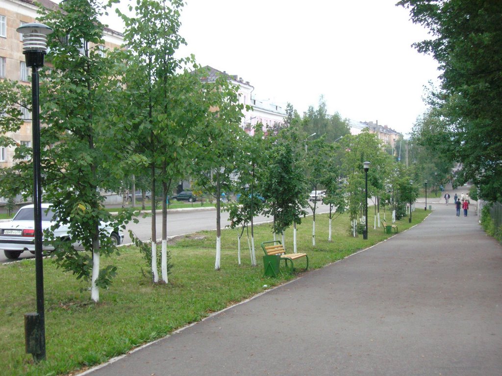 Ул. Мира, район 3-й школы.