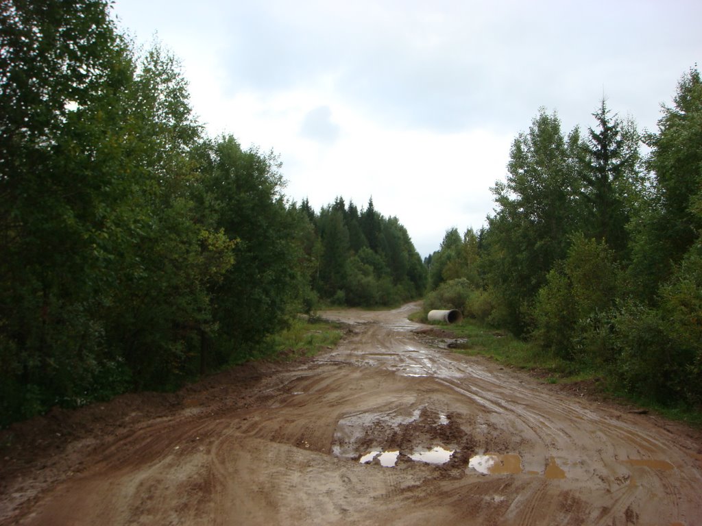 Сырость перед Томилово