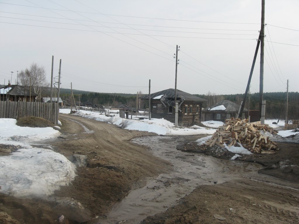 Перекресток улиц Флоренко и Зеленой (май 2009)