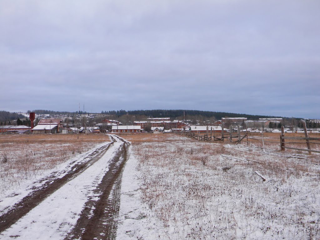 Городок с поля