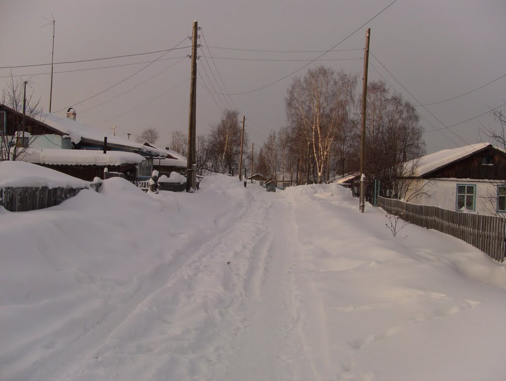 Пионерская улица