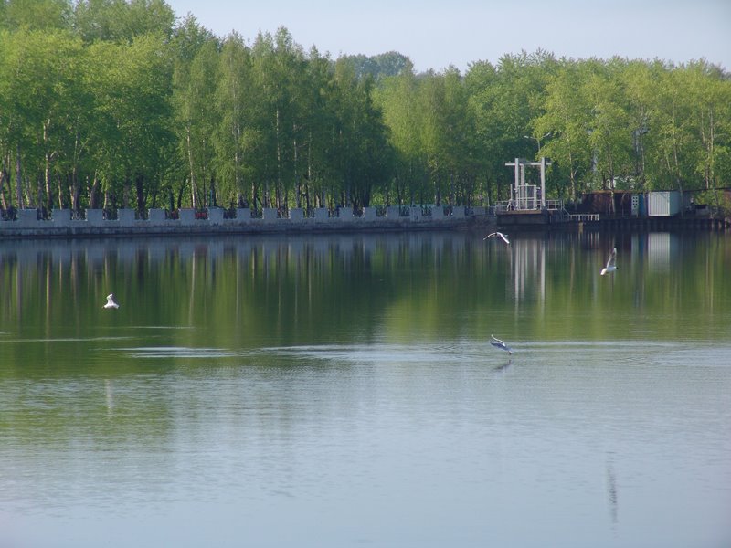 Нытва.Нытвенский пруд