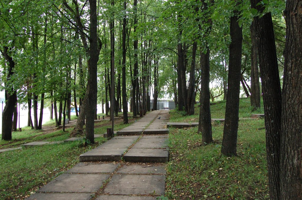 аллея в Нытве