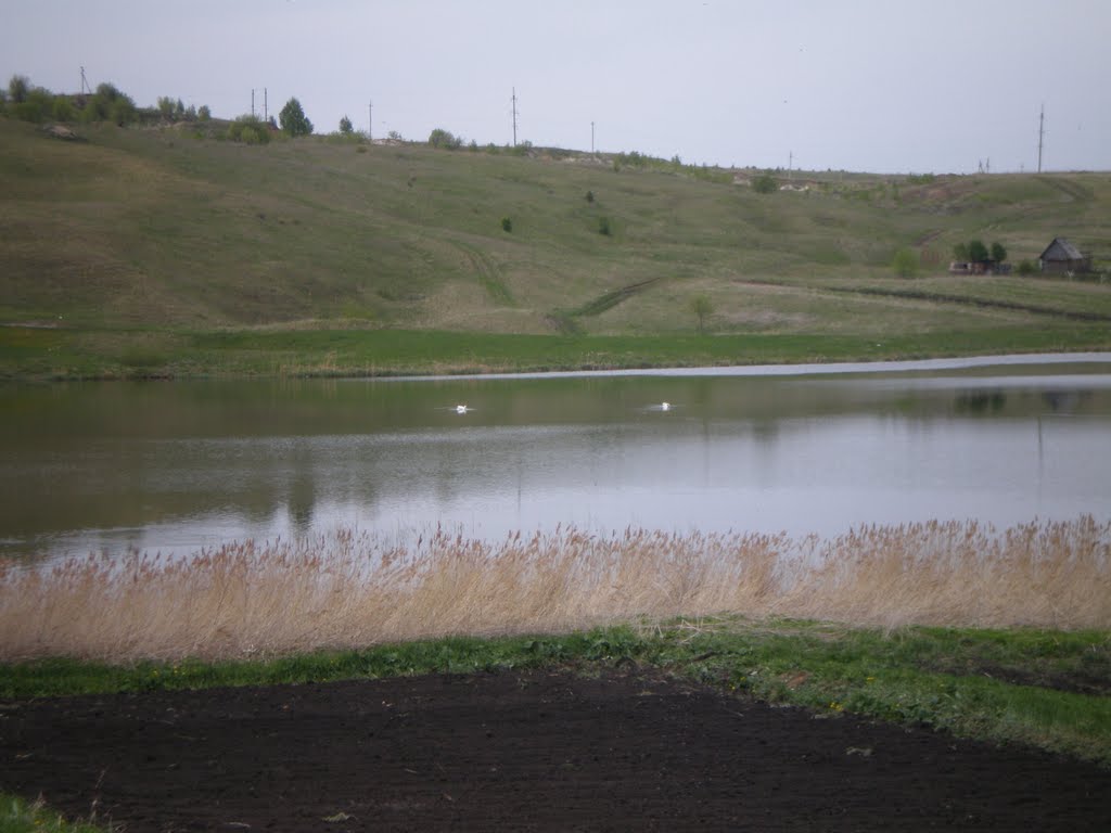 Ординский пруд