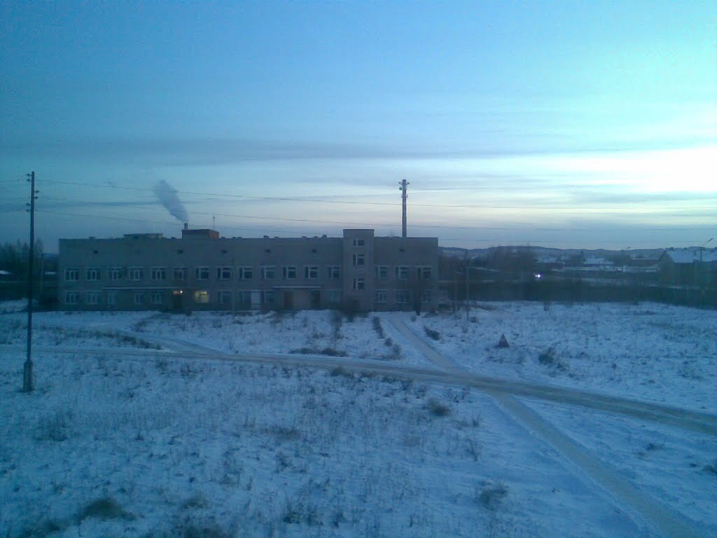 Оса, вид на крпус больницы