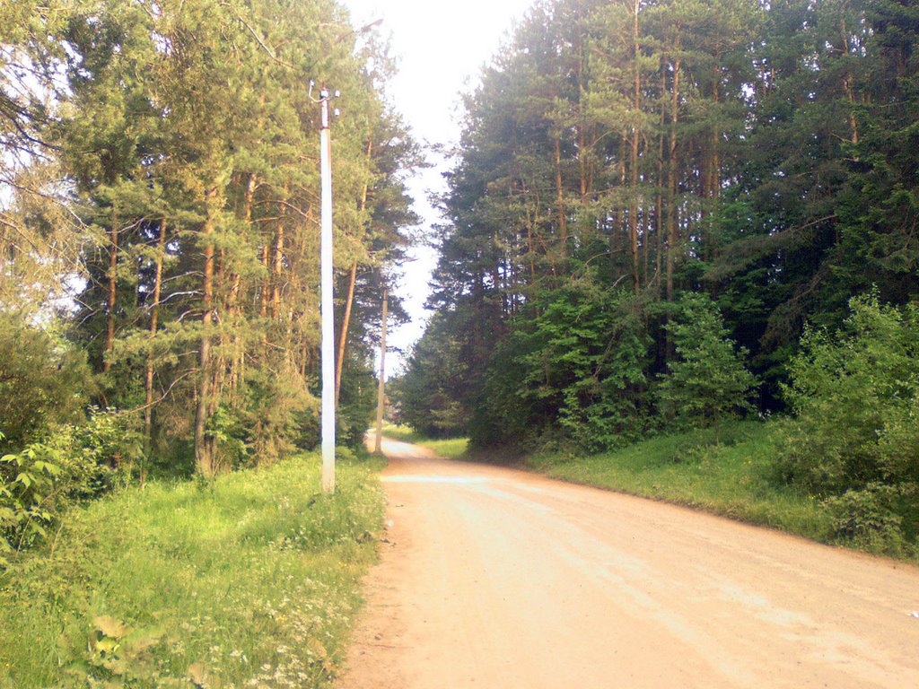 дорога на Кукуй