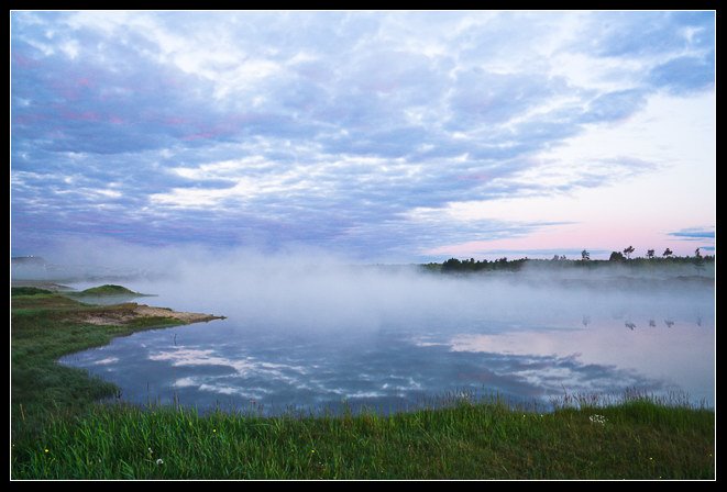 Правый берег Усолки, залив, торфяное болото, мороз, июнь, туман
