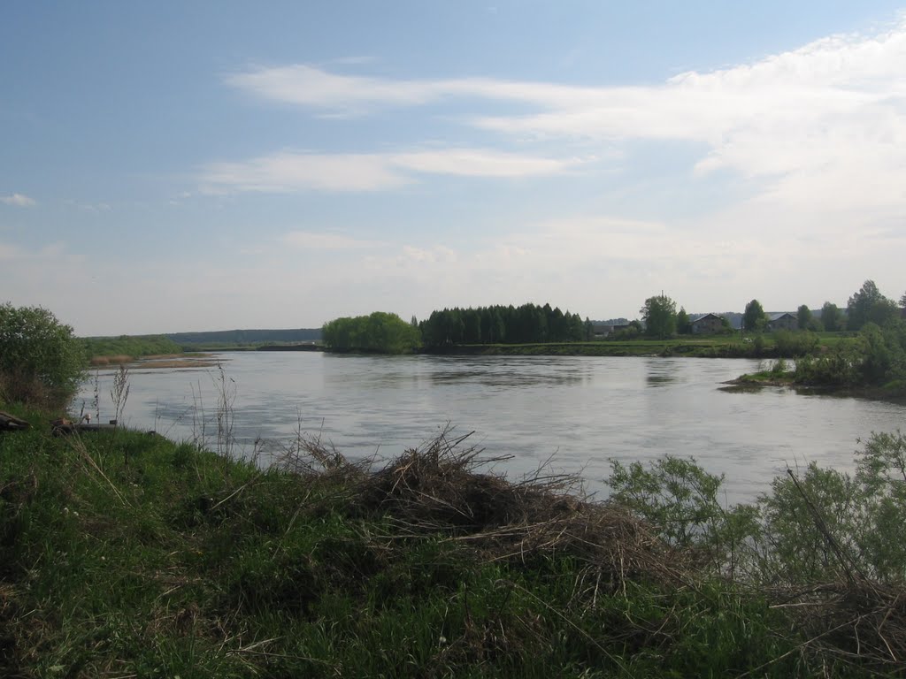 Сылво